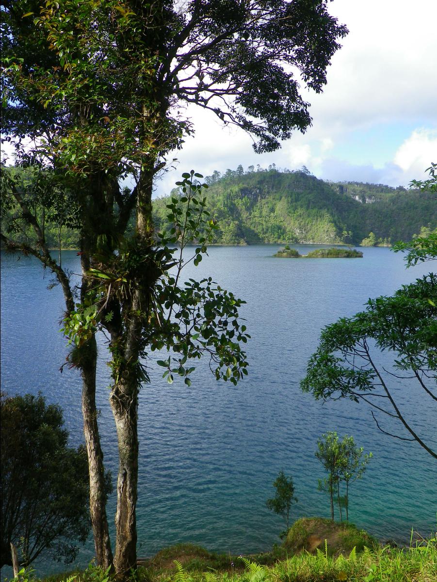 Lake Area21
